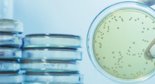 Microbiological Testing