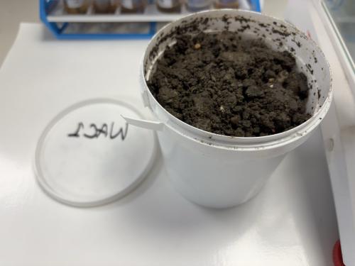 How to Package and Submit Soil Samples for Laboratory Testing - 