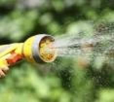 Garden hose a breeding ground for Legionnaires' disease