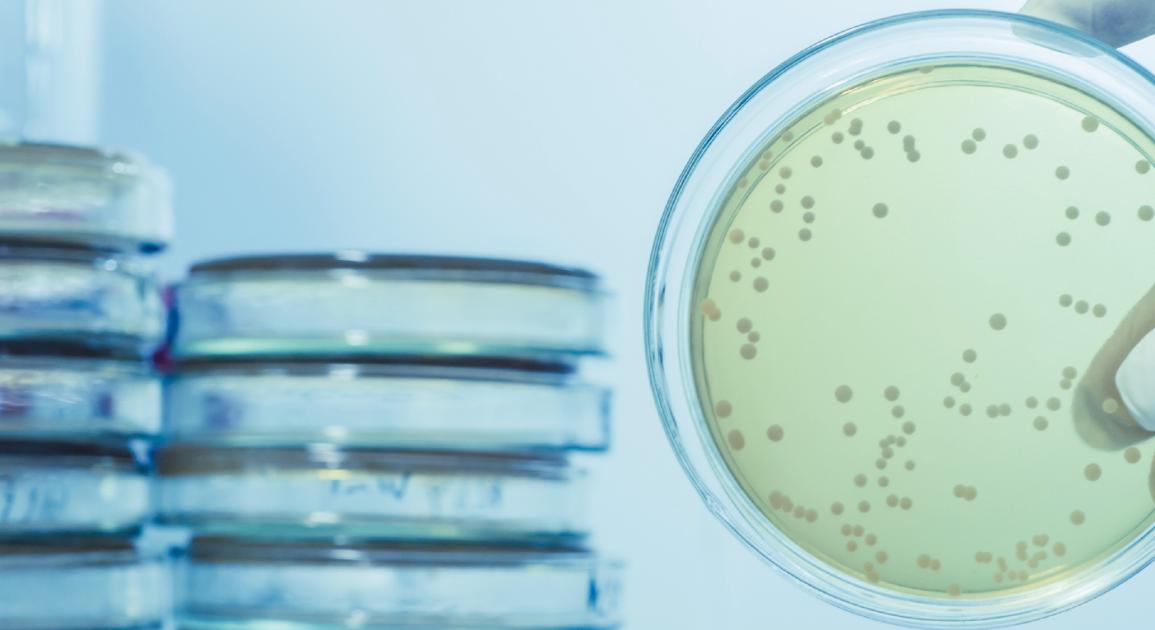 Microbial Rostock Envirochem Services - Microbiological Testing