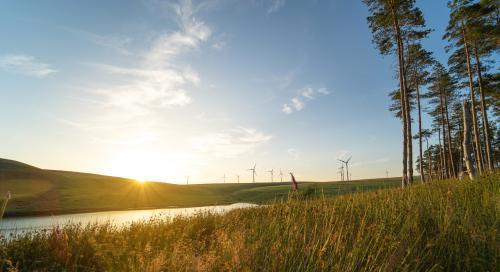 Photograph of Sustainability